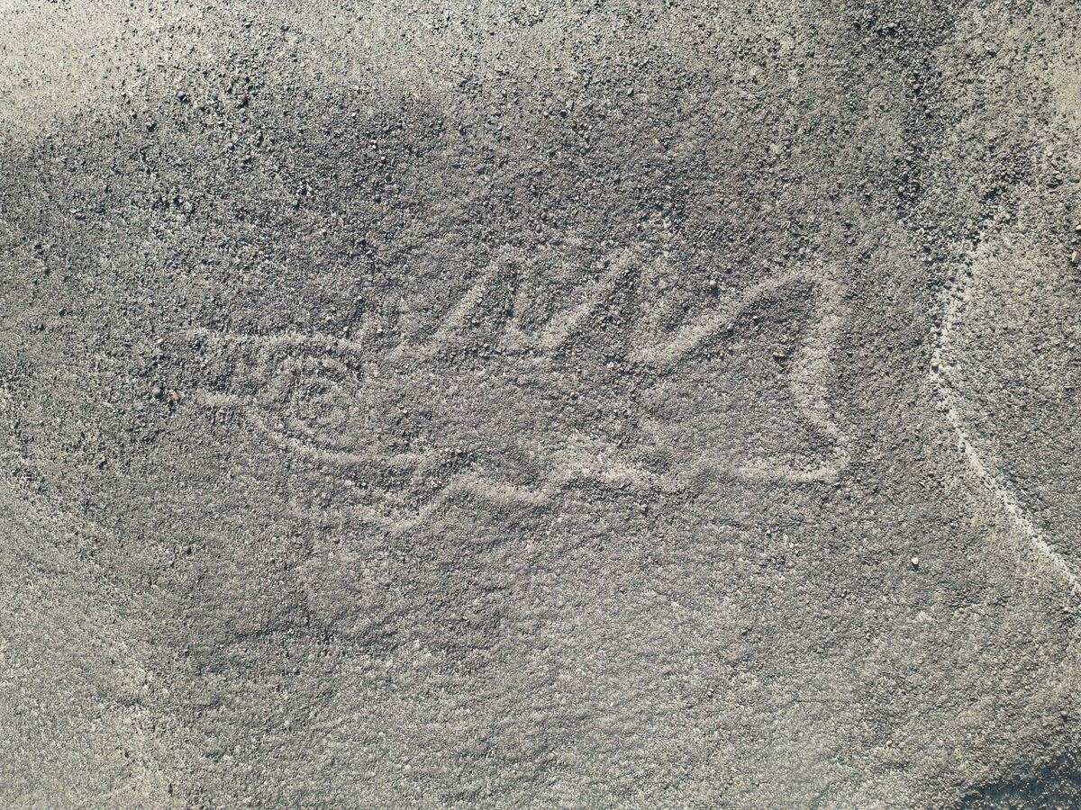 Killer Whale Holding Knife Among 303 New Nazca Glyphs Spotted By AI