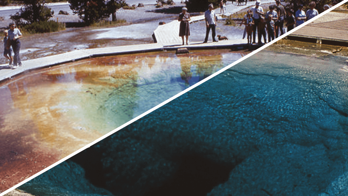 Yellowstone's Morning Glory Pool Is Only Rainbow-Colored Because Of Trash