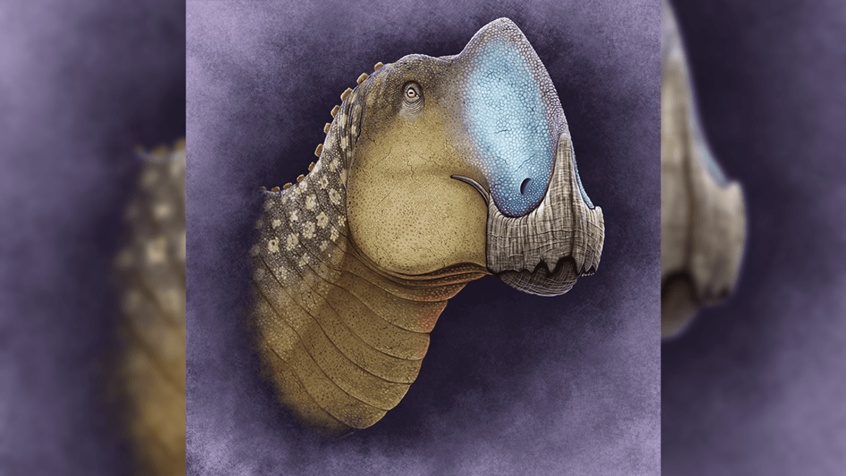 New 73-Million-Year-Old Duck-Billed Dinosaur With Giant Nose Just Dropped