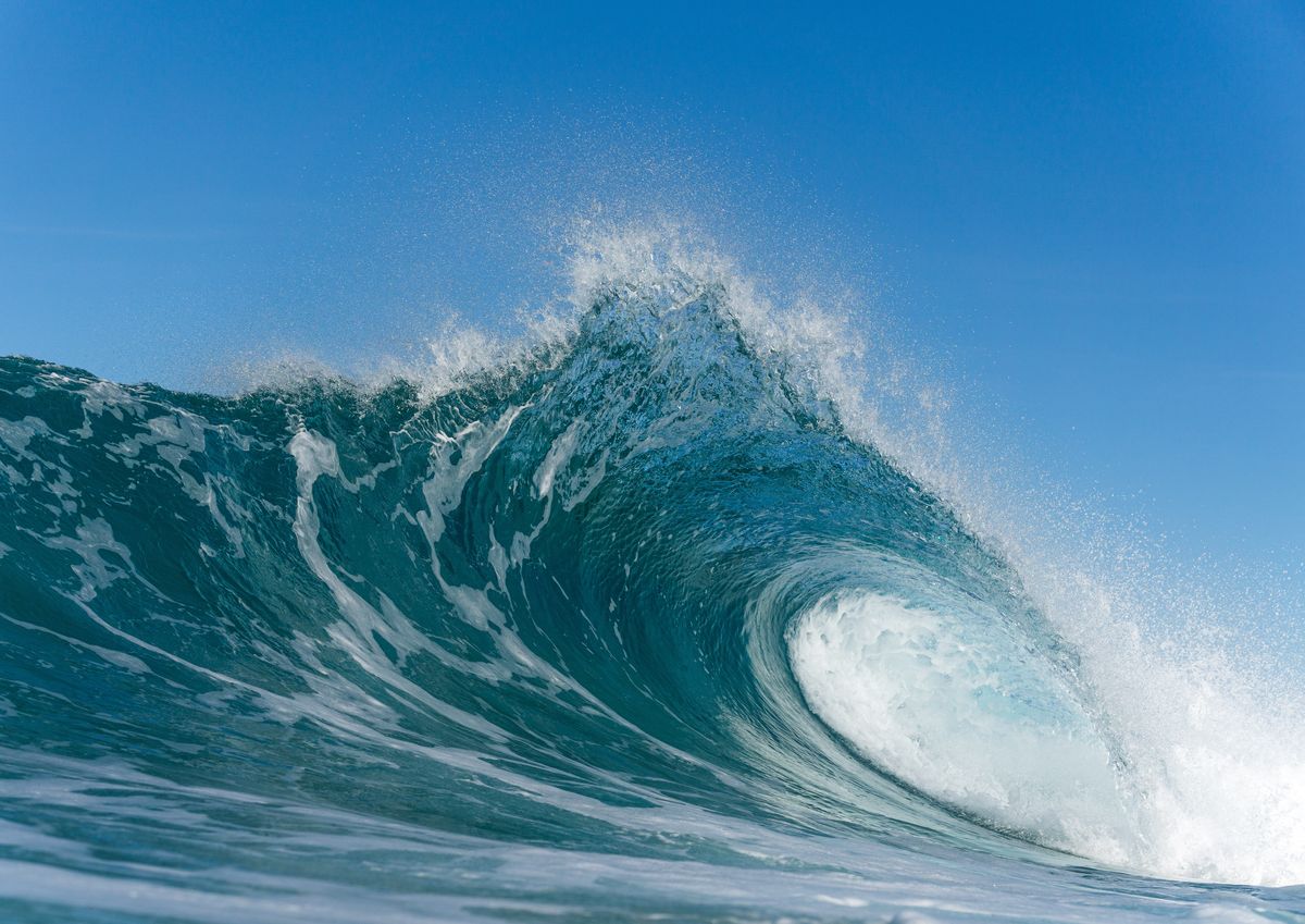 In A World-First, Part Of The Ocean Has Been Granted Legal Personhood