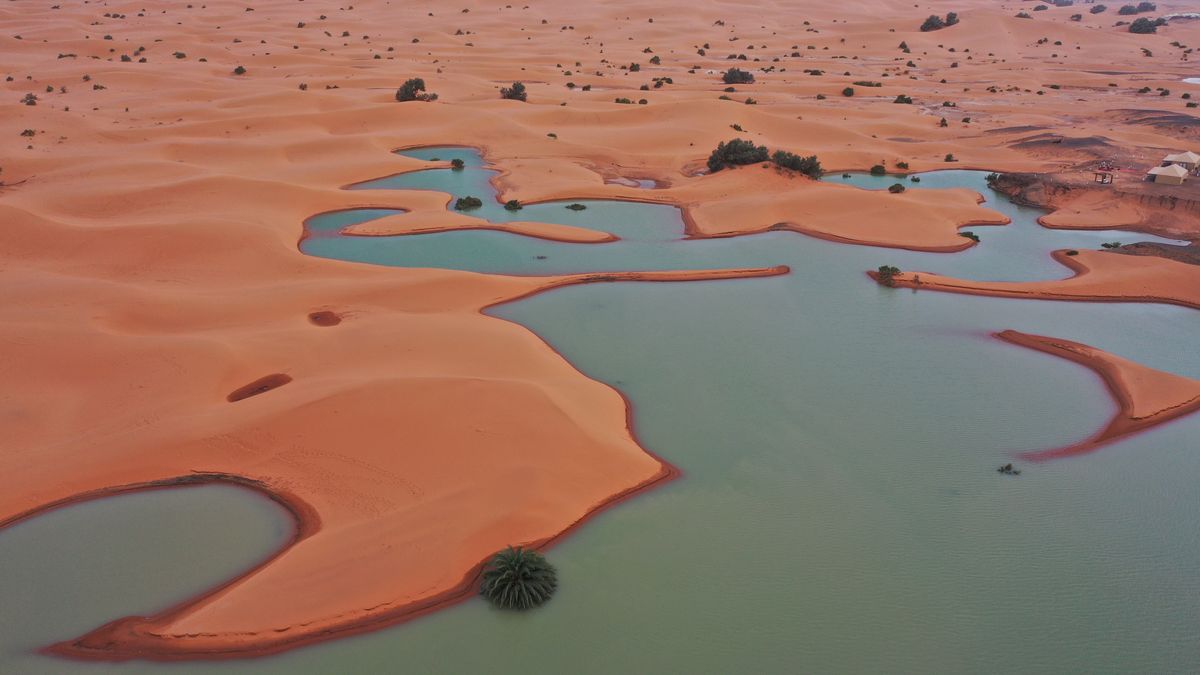 Rare Heavy Rainfall Sees Sahara Flood For First Time In Decades
