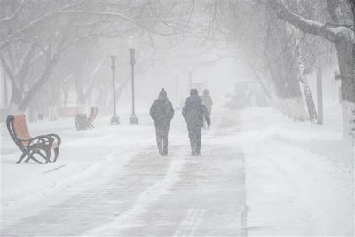 Figures walk along a park path during a blizzard. The snow has covered every surface and caused much lower visibility. A bench can be seen to the right of the image and there are trees lining the snow covered path.