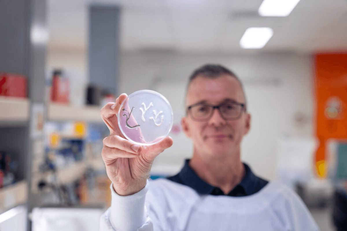 Revolutionary Nasal Nerve Cell "Bridges" For Treating Spinal Injuries To Begin Clinical Trials