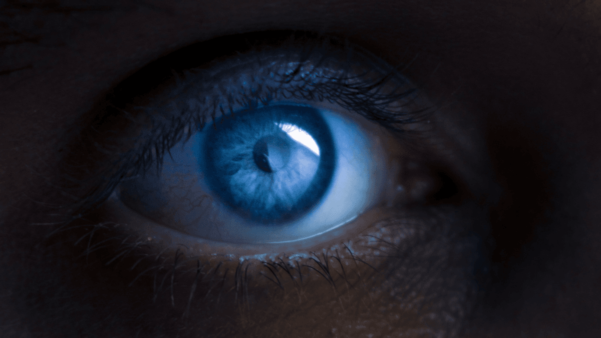 Forensic Optography: Could Retinas Really Preserve The Last Thing A Victim Saw?