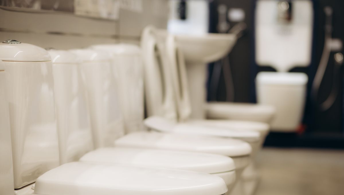 Why Are Toilets White? | IFLScience