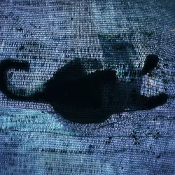 【AAKE】AMAZED CAT HALF T Baby Lasagna Cats | TikTok