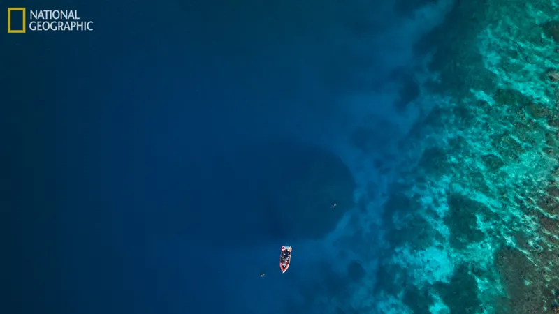 a tiny boat over the shadow of a massive coral