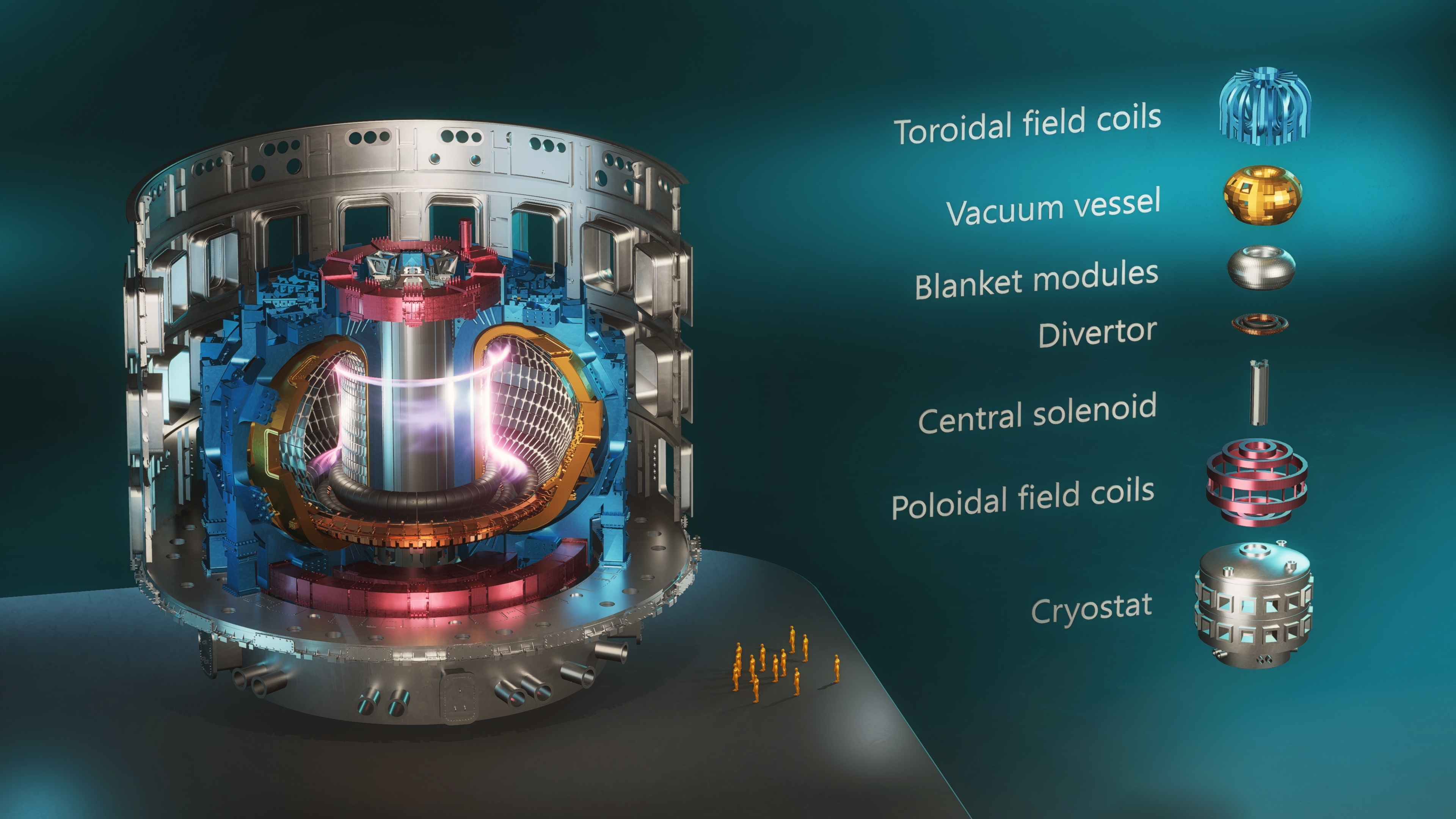 How Do Tokamaks Work And Are They The Future Of Energy IFLScience