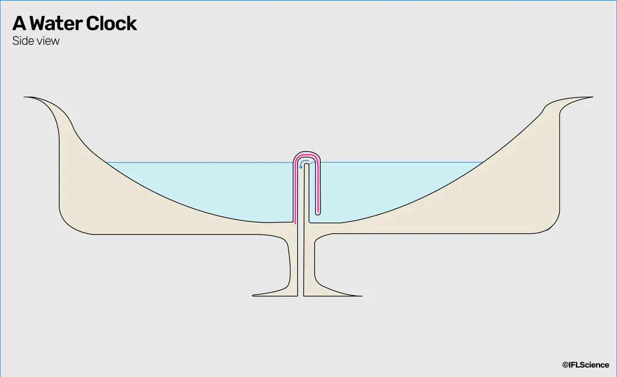 Cross-section view of a siphon cup, showing the water level as it is about to pass the point of no return Cross-section view of a siphon cup, showing the water level as it is about to pass the point of no return