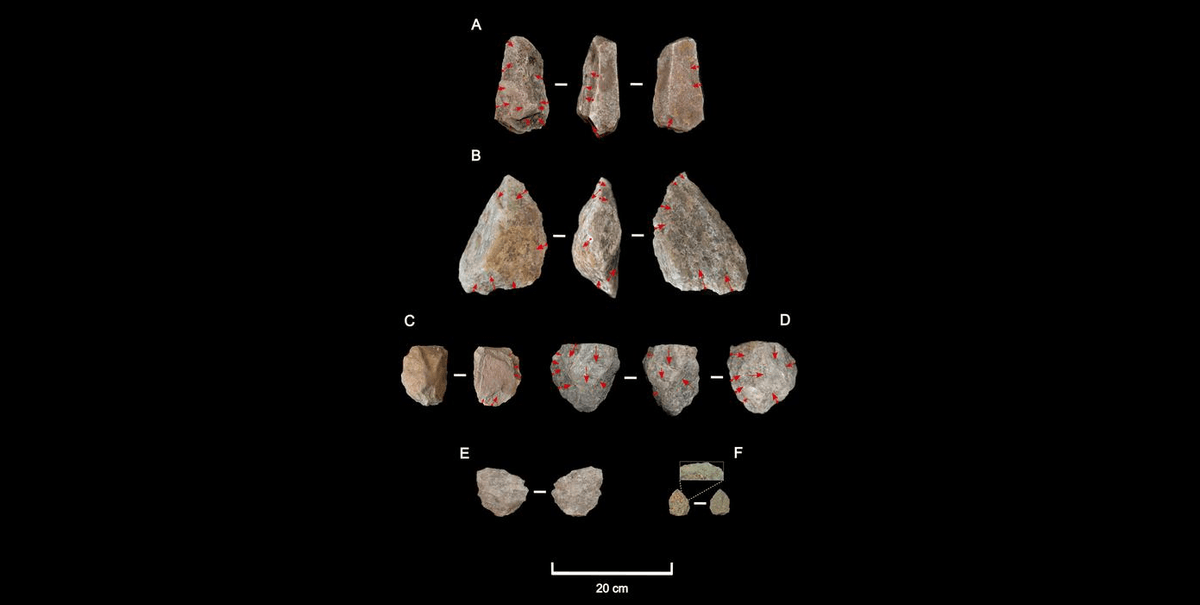 Early Humans Adapted To Extreme Deserts More Than A Million Years Ago