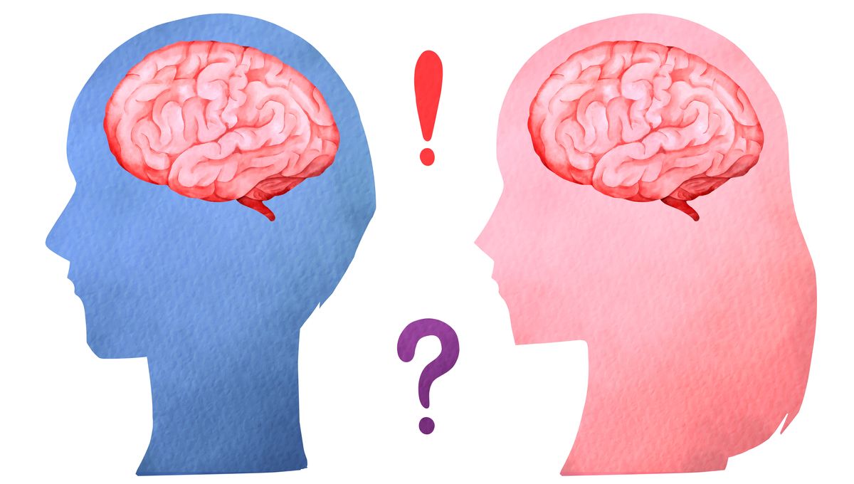 Sex Differences In The Human Brain Observed From Birth In Largest Study