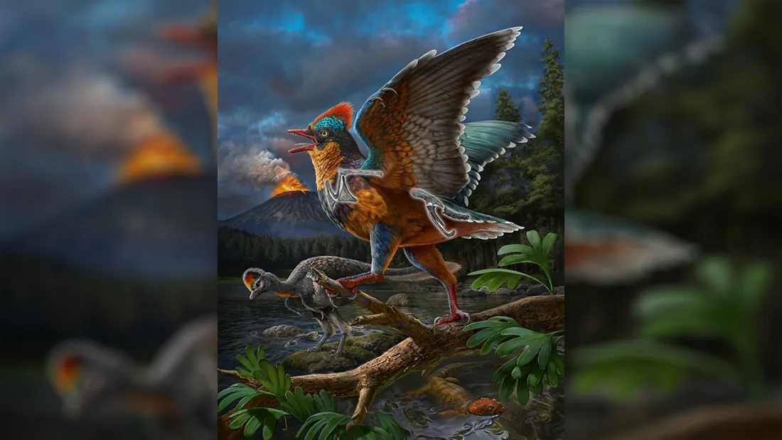 Two Jurassic Fossils Could Be The Earliest True Birds Ever Found