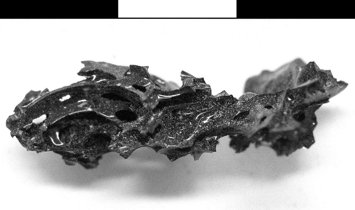 The Eruption Of Vesuvius Turned This Guy’s Brain Into Glass