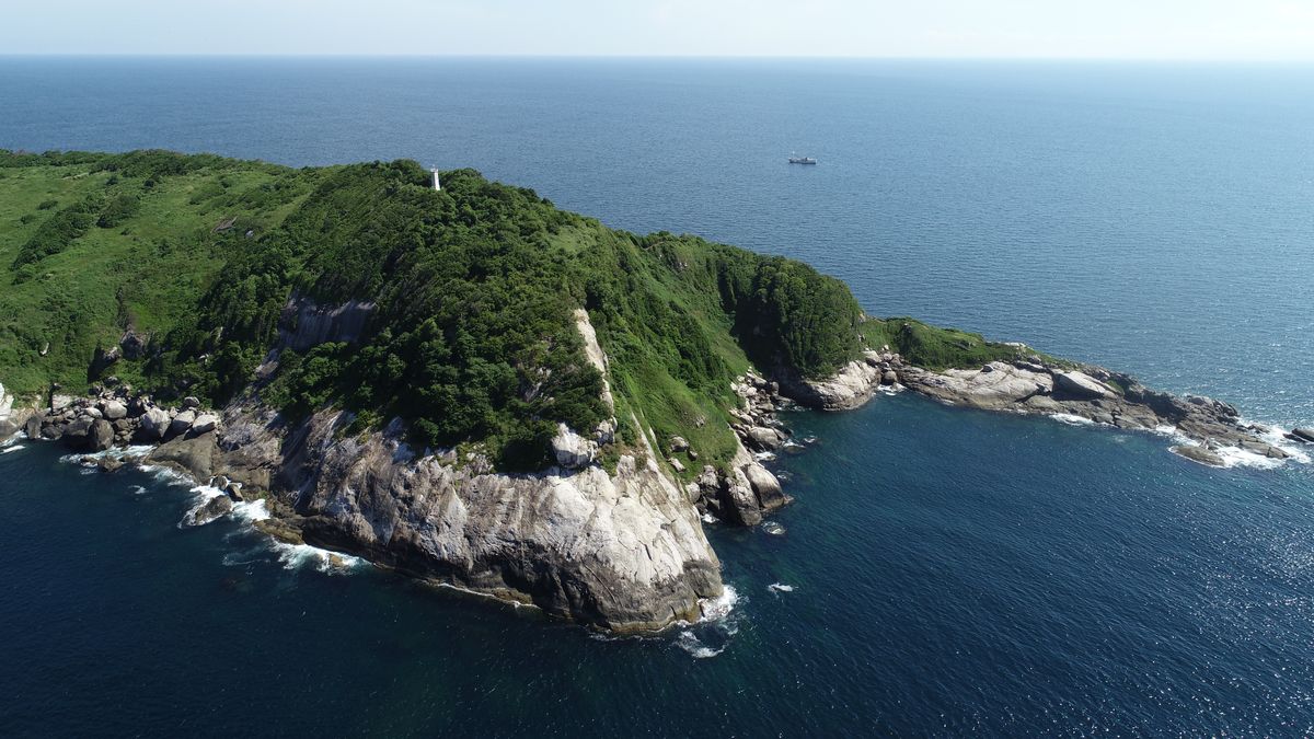 This Forbidden “Snake Island” Is Teeming With Deadly Serpents