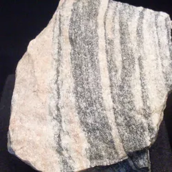 Ammonite Rock Acasta Gneiss Rock Fragment – The Oldest Known Rock