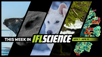 All the biggest science news stories of the week.