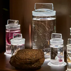 Deep-sea creatures from the Clarion-Clipperton zone