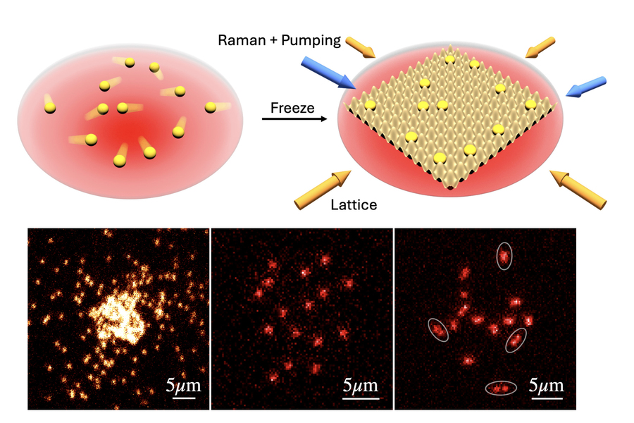 Top: Two renderings show how itinerant atoms in an atom trap (red) are suddenly frozen in place via an applied optical lattice and imaged via Raman sideband cooling. Bottom: Three microscope images show (left to right) bosonic 23Na forming a Bose-Einstein condensate; a single spin state in a weakly interacting 6Li Fermi mixture; and both spin states of a strongly interacting Fermi mixture, directly revealing pair formation.