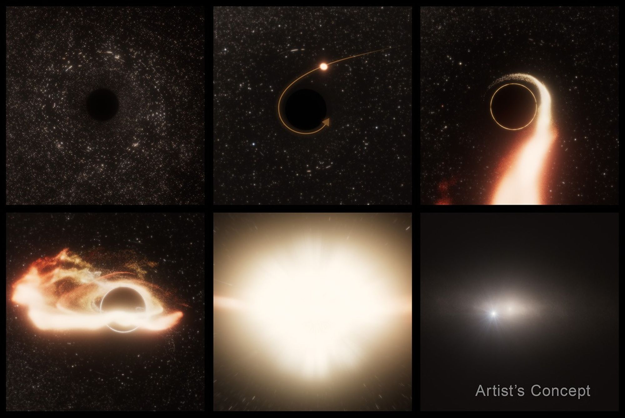 This six-panel illustration of a tidal disruption event around a supermassive black hole shows the following: 1) A supermassive black hole is adrift inside a galaxy, its presence only detectable by gravitational lensing; 2) A wayward star gets swept up in the black hole's intense gravitational pull; 3) The star is stretched or "spaghettified" by gravitational tidal effects; 4) The star's remnants form a disk around the black hole; 5) There is a period of black hole accretion, pouring out radiation across the electromagnetic spectrum, from X-rays to radio wavelengths; and 6) The host galaxy, seen from afar, contains a bright flash of energy that is offset from the galaxy's nucleus, where an even more massive black hole dwells.