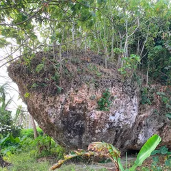 The Maka Lahi boulder in Indonesia