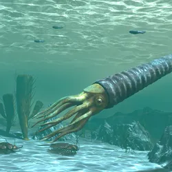 The Ordovician period saw some deep-sea weirdos changing and diversifying at a rate rarely seen before.