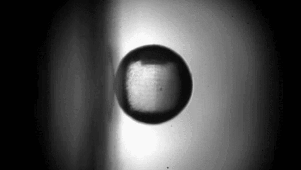 Video Shows Physicists Achieve "Impossible" Feat Of Rolling A Ball Vertically