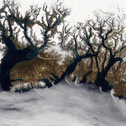2023's Megatsunami Mystery Laid Bare As “Game Changer” Satellite