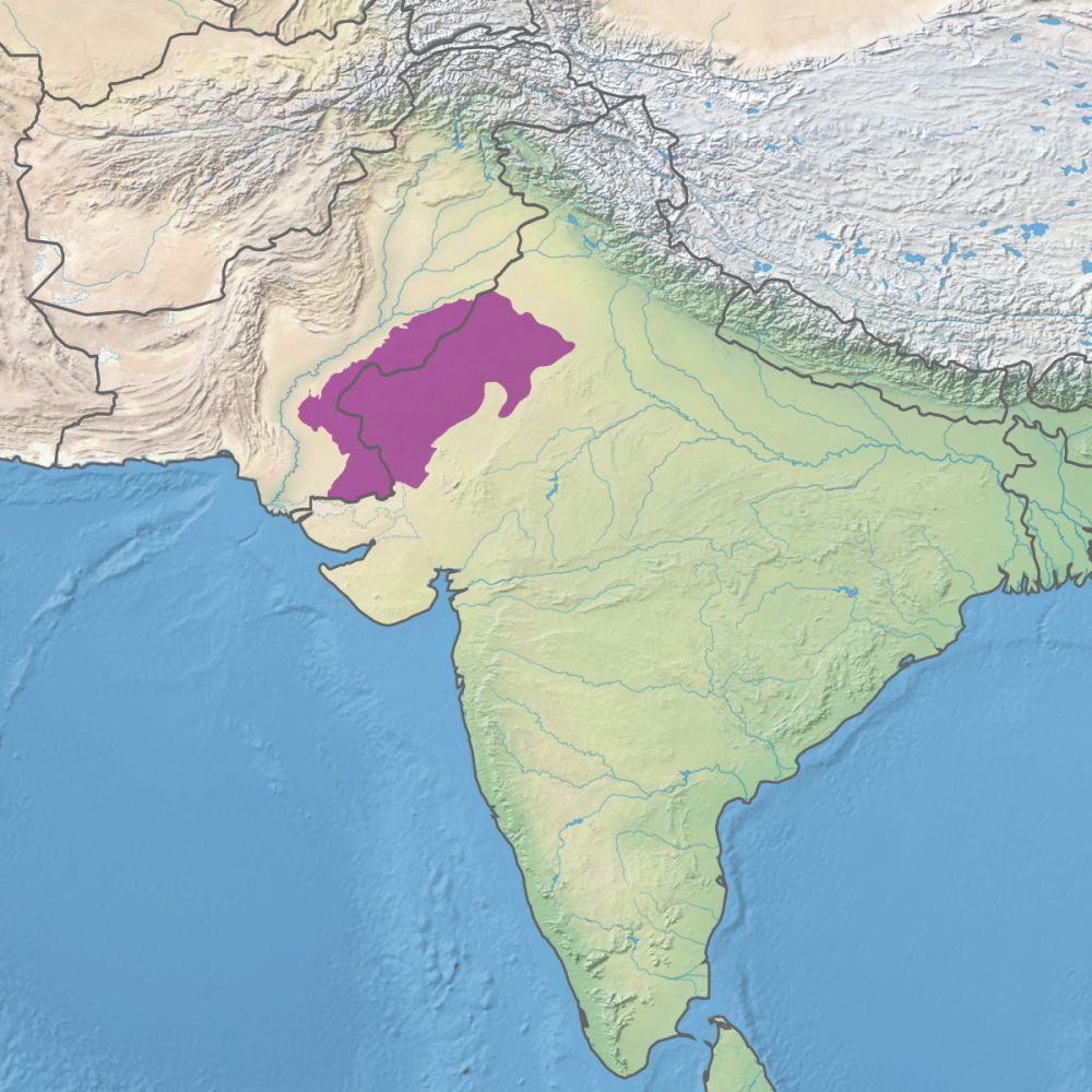 Thar Desert The Most Populated - Thar%20desert%20map