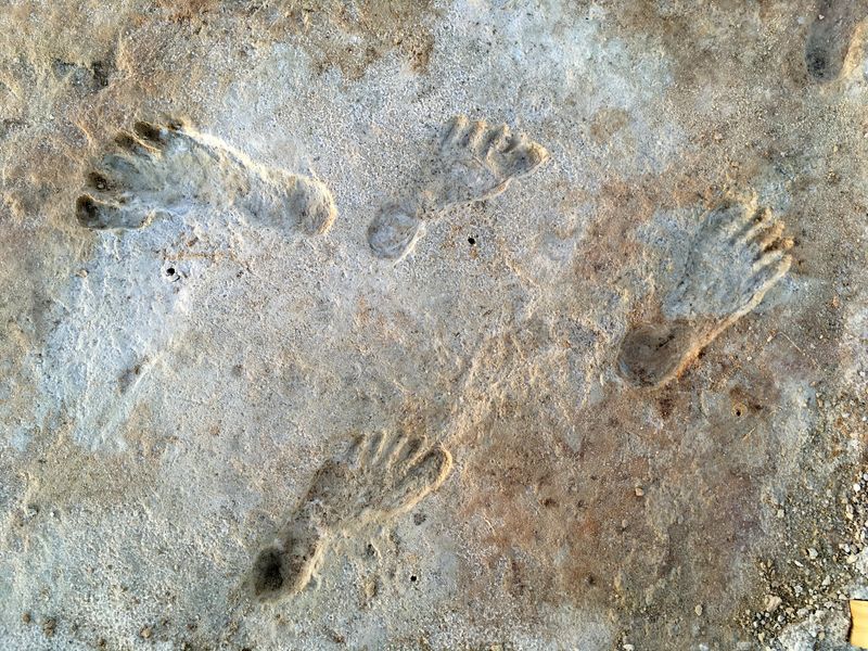 Oldest footprints in North America, at White Sands