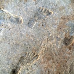 Oldest footprints in North America, at White Sands