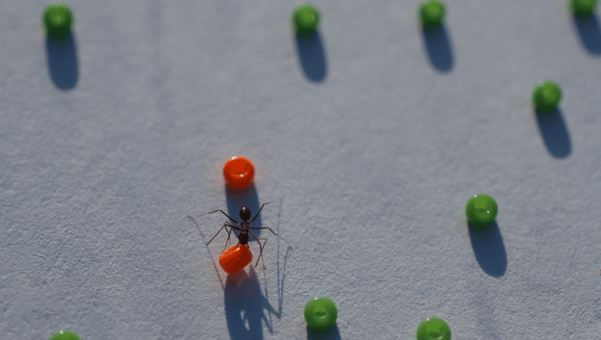 Random Ant “Swarm Intelligence” Sees Longhorn Crazy Ants Clear The Path For ...