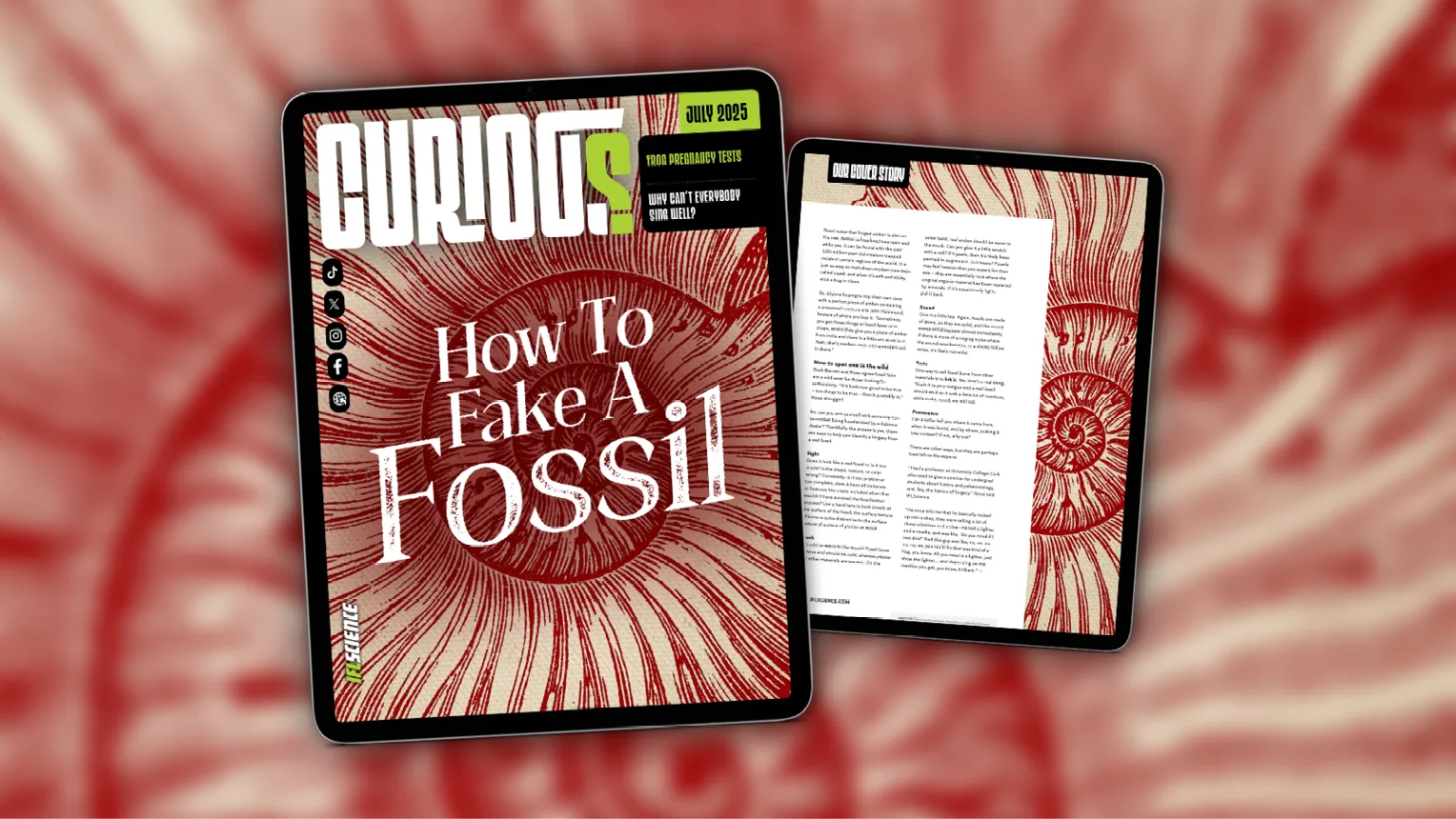curious-issue-36-o.webp