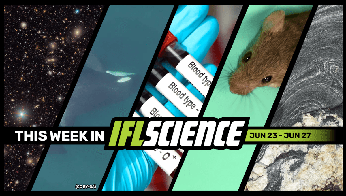World’s Largest Digital Camera Snaps 2,104 New Asteroids In 10 Hours, Mice With 2 Dads Father Their Own Offspring, And Much More This Week