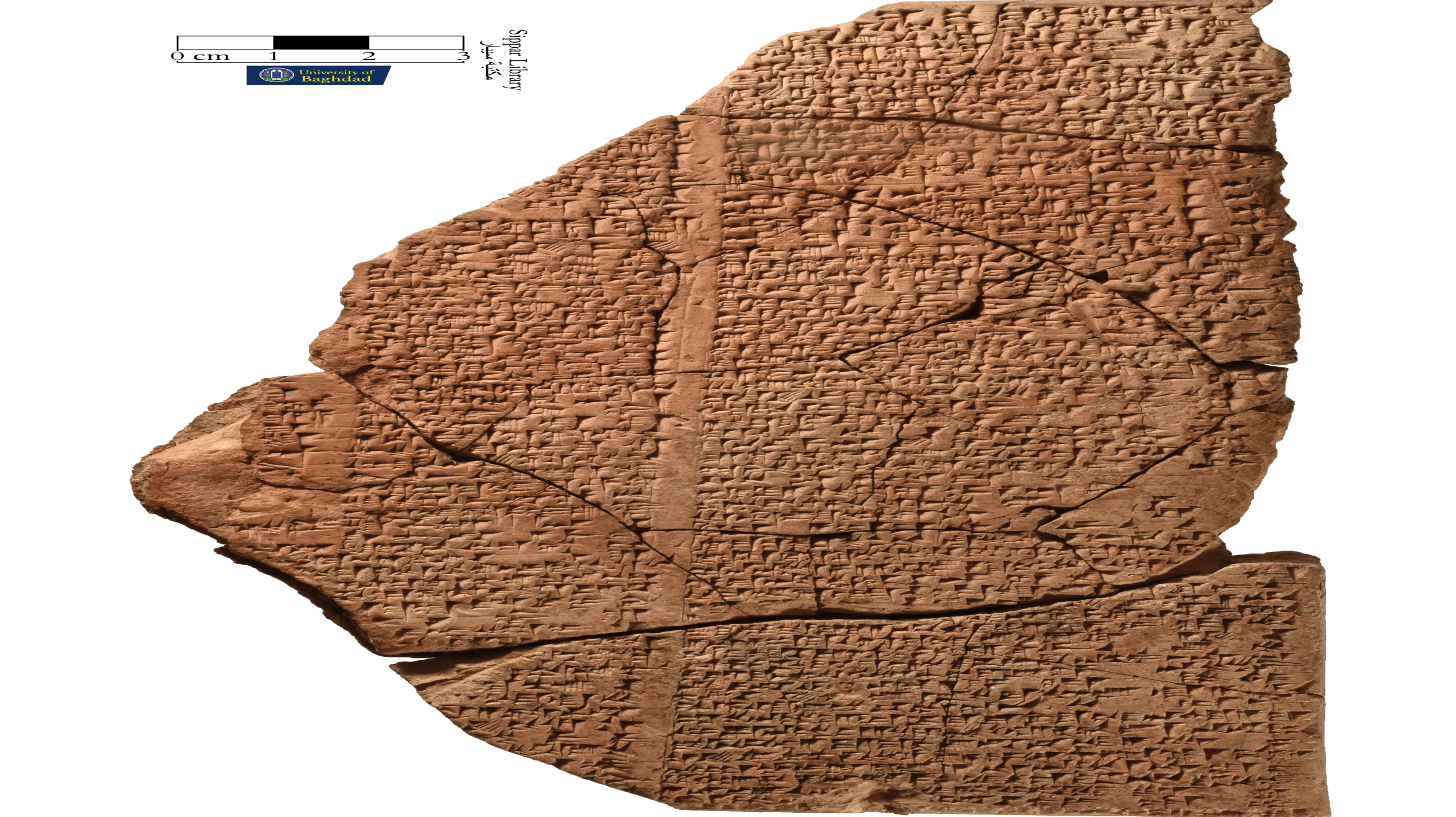 Zommmbri fucked a brief hug and off to the suite.