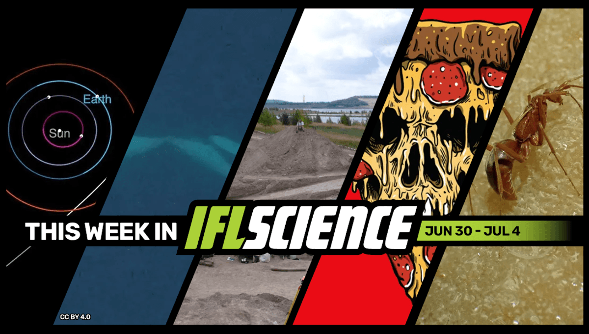 We’ve Found Our Third-Ever Interstellar Visitor, Orcas Filmed Kissing (With Tongues) In The Wild, And Much More This Week