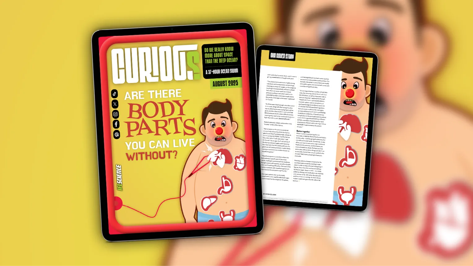 Are There Body Parts You Can Live Without? Find Out More In Issue 37 Of  CURIOUS – Out Now | IFLScience, image size:1528x860