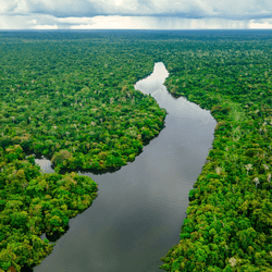 a river in the amazon, dense clouds in the distance and flying rivers overhead