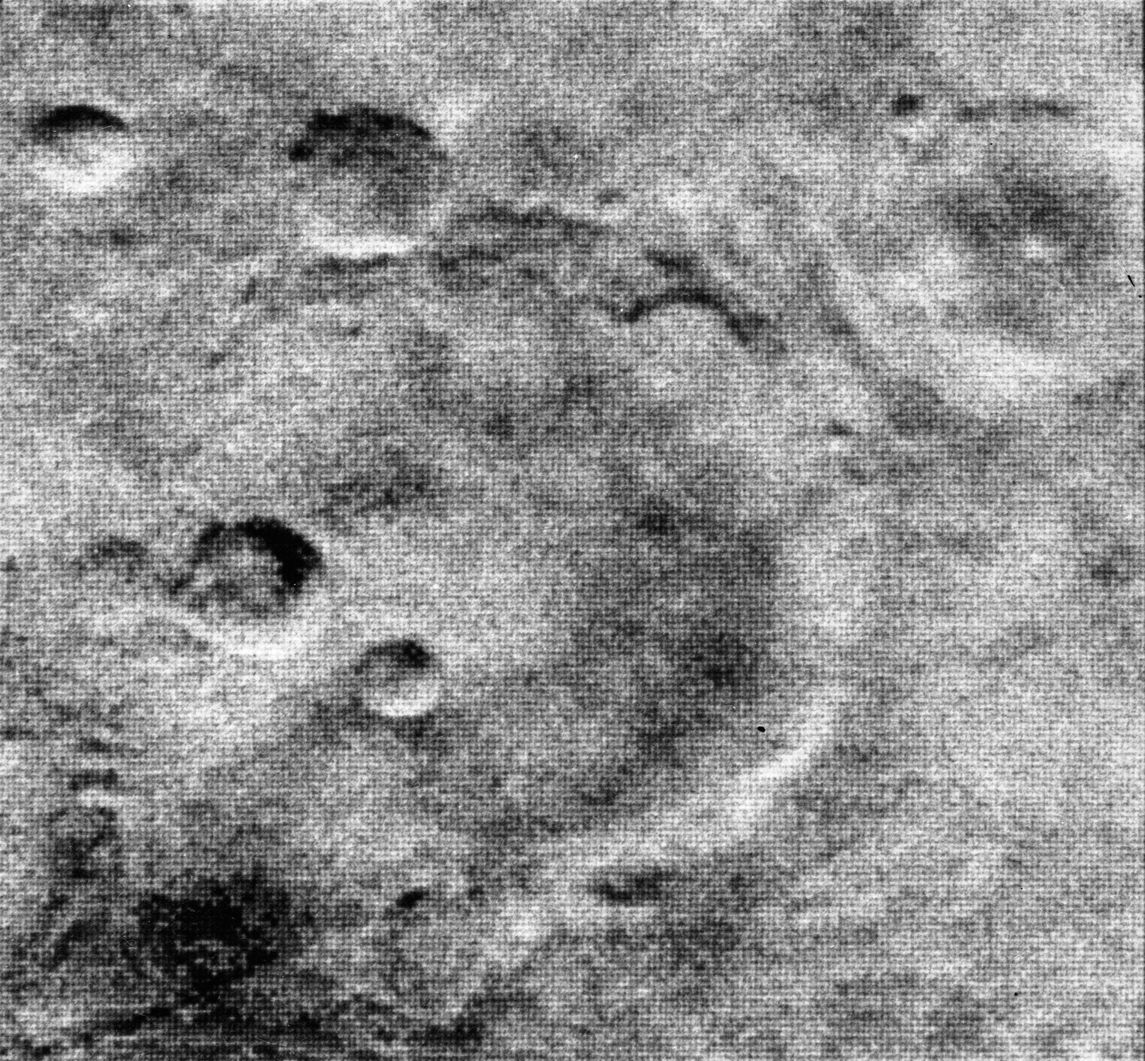 the grainy grayscale image show several small craters within a larger one. 