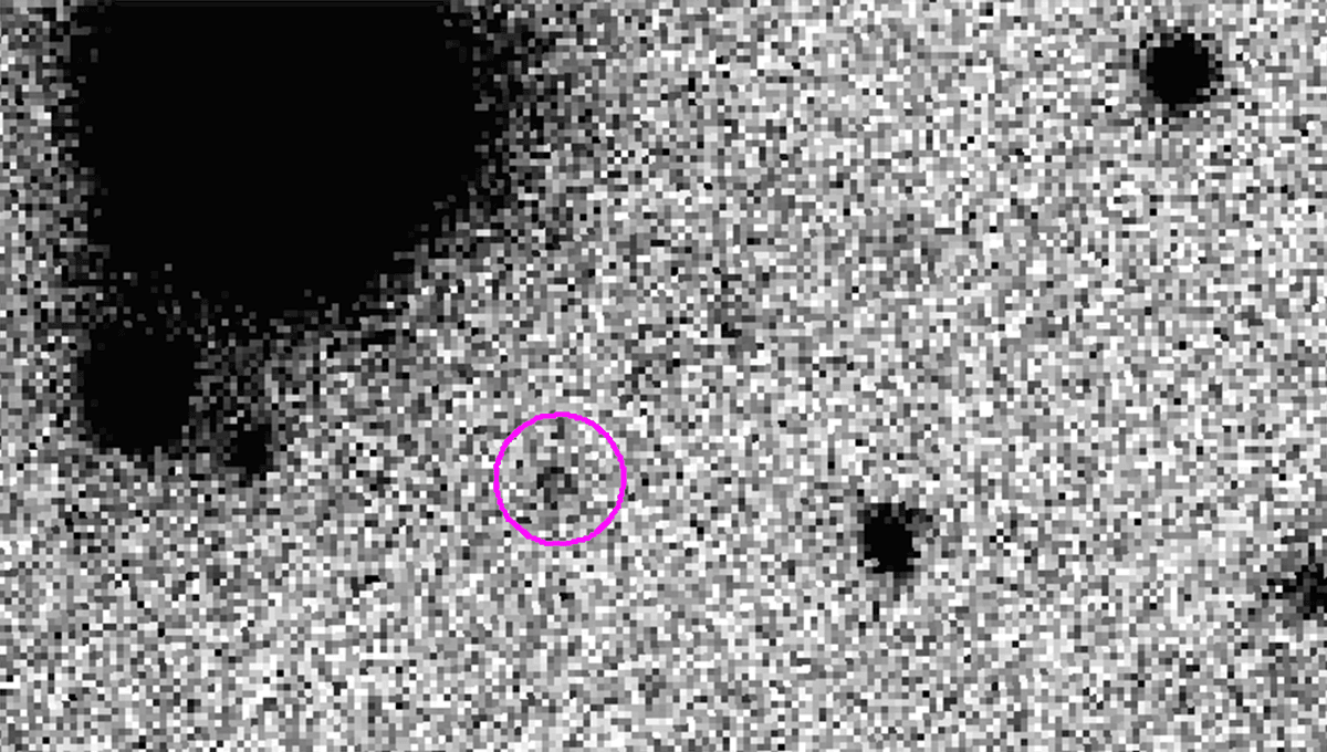 “Ammonite”: A New 380-Kilometer World Has Been Found Inside Our Solar System
