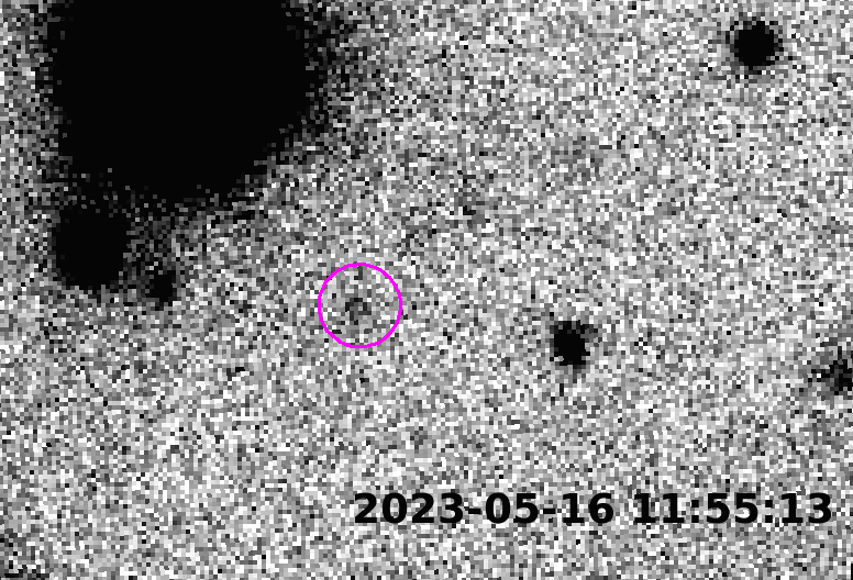 “One thing Ordinary Passed off”: A New 380-Kilometer Global Has Been Discovered In Our Sun Device