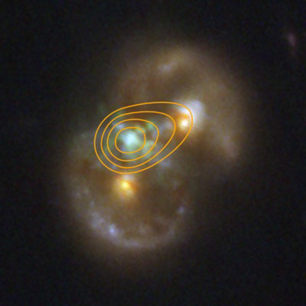 The Infinity Galaxy, the result of two colliding spiral galaxies, is composed of two rings of stars (seen as ovals at upper right and lower left). The two nuclei of the spiral galaxies are seen represented in yellow within the rings. Glowing hydrogen that has been stripped of its electrons between the two galaxies appears green. Within that region blue gas suggest the presence of a third supermassive black hole. Yellow countoru line trace radio emission agreeing with the presence of an active black hole. 