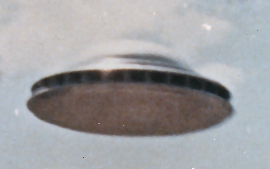 A blurred photo of a supposed flying saucer. The object looks like a music symbol and is suspended in an otherwise blue and cloudy sky.