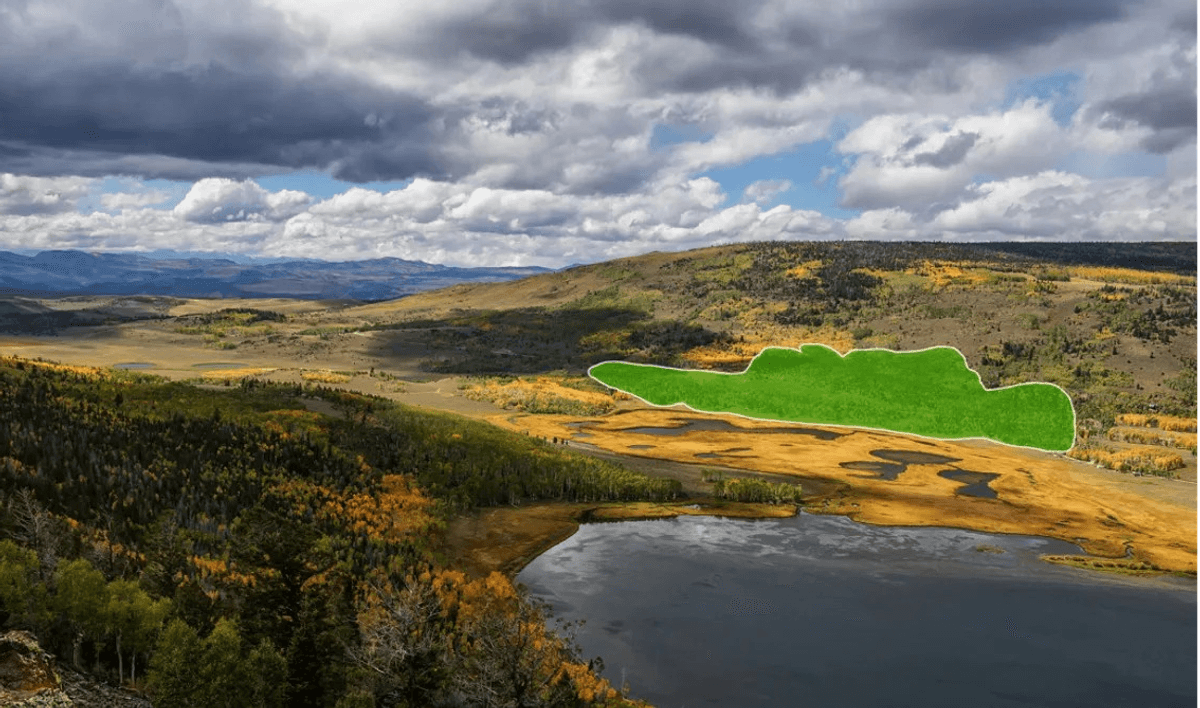 An Enormous "Blob" In Utah Is Up To 80,000 Years Old And Among Earth's Oldest Organisms