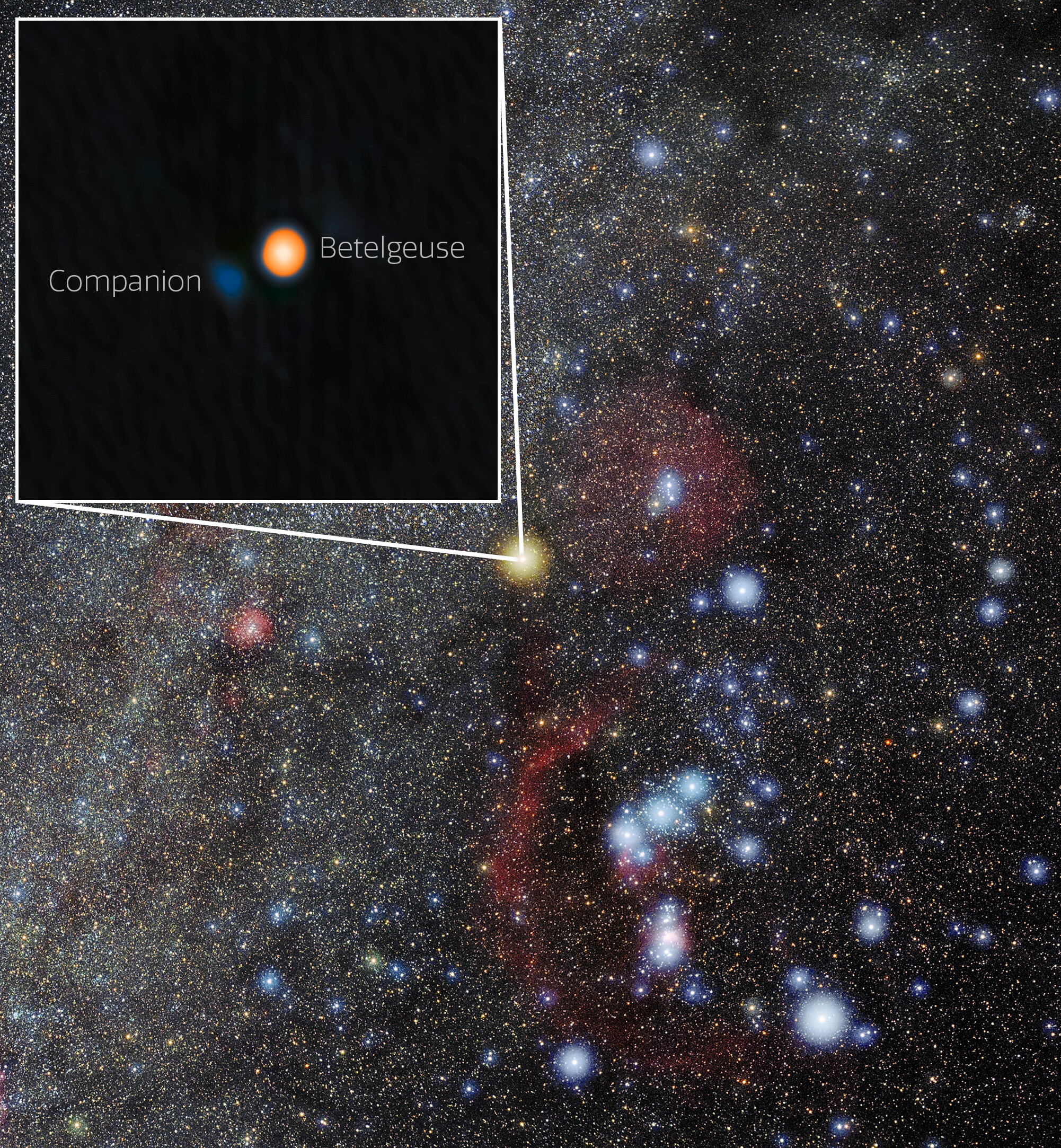 We've seeeeen things you wouldn't believe; a companion star glinting off the shoulder of Orion. The image was taken with a tight color filter and then artificially colored based on the discoverers' guess of its color
