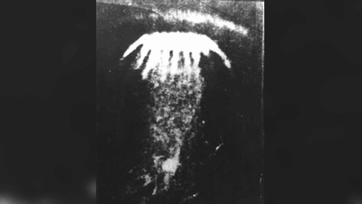 The jellyfish seen over Petrozavodsk in 1977.