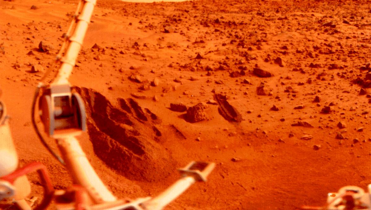 NASA’s Viking Project May Have Found Life On Mars 50 Years Ago, Claims Scientist