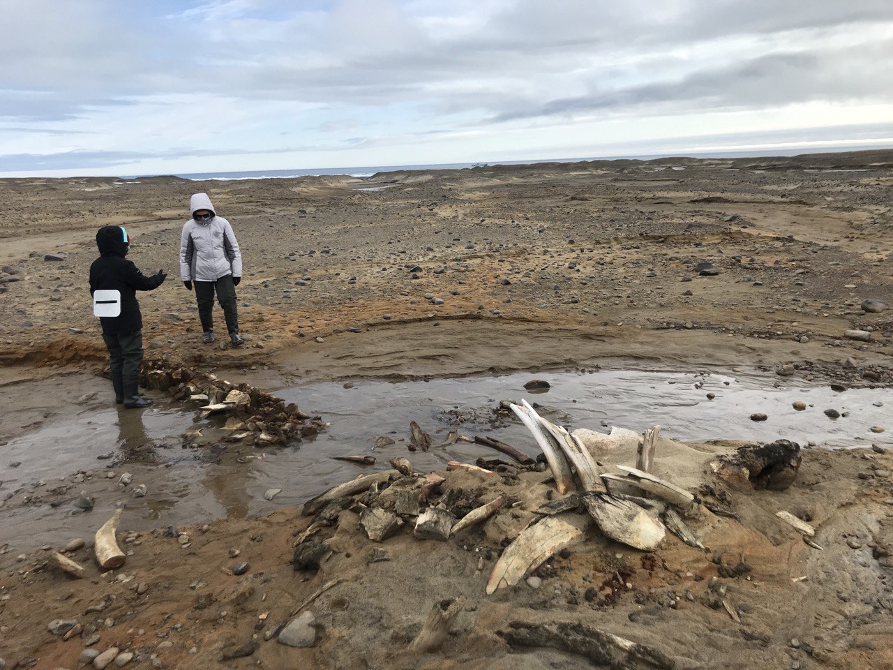 More researchers study the remains on Wilczek Island in the Franz Josef Land archipelago.