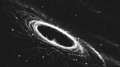 Are we living inside a black hole? 