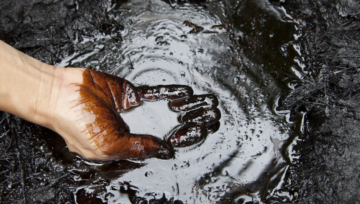 Many Other folks Have No Concept The place Oil If truth be told Comes From. It is Now not Dinosaurs