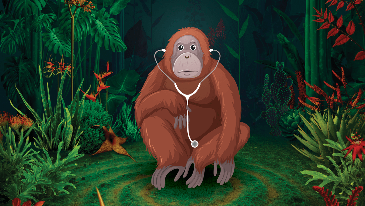 "Every Species On The Planet Self-Medicates In Some Way": How Wild Animals Use Medicine
